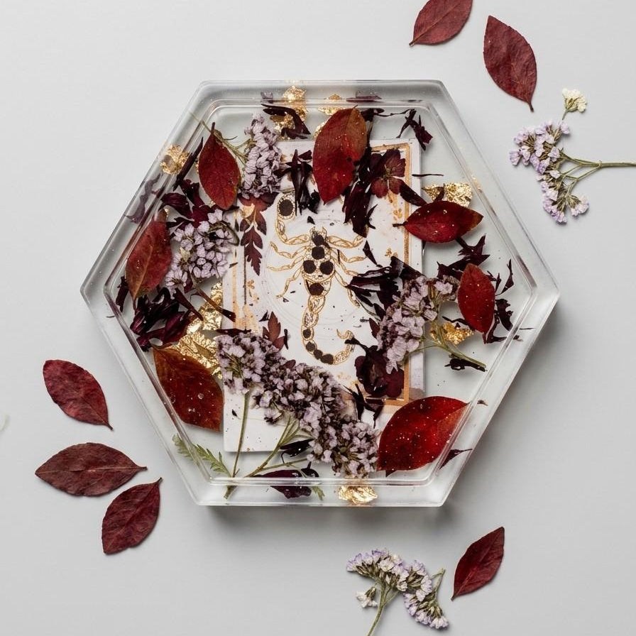 Scorpio Zodiac Tray
