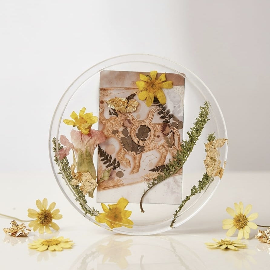 Taurus Zodiac Tray